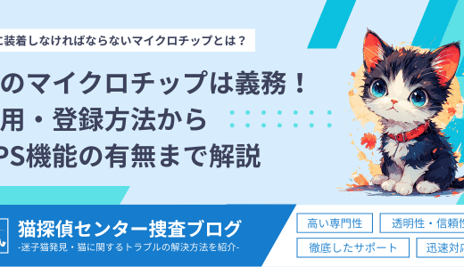 【2026年最新】猫のマイクロチップは義務！費用・登録方法からGPS機能の有無まで解説