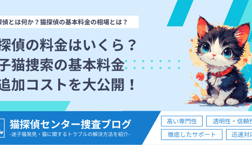 猫探偵の料金はいくら？迷子猫捜索の基本料金と追加コストを大公開！