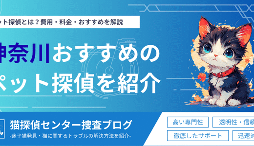 神奈川でペットが迷子に！見つからない時のペット探偵は役立つ？費用・料金・おすすめを解説