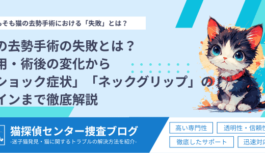 猫の去勢手術の失敗とは？費用・術後の変化から「ショック症状」や「ネックグリップ」のサインまで徹底解説