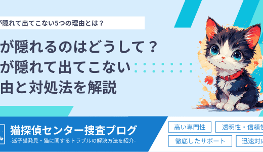 猫が隠れるのはどうして？猫が隠れて出てこない理由と対処法を解説