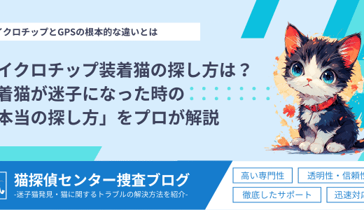 マイクロチップ装着猫の探し方は？装着猫が迷子になった時の「本当の探し方」をプロが解説