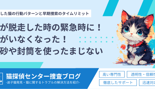 【猫が脱走した時の緊急時に】猫がいなくなった！猫砂や封筒を使ったまじないを徹底解説