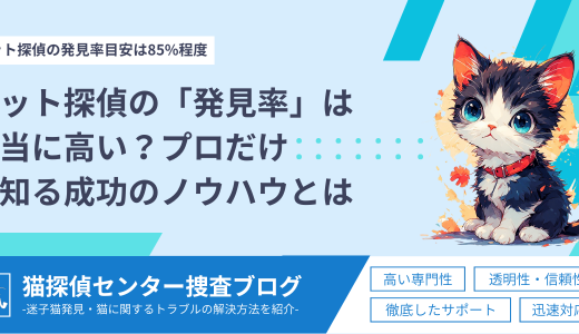 ペット探偵の「発見率」は本当に高い？プロだけが知る成功のノウハウとは