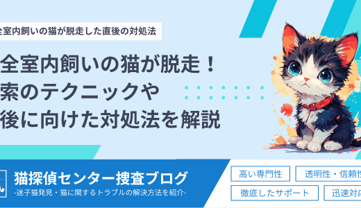 完全室内飼いの猫が脱走！捜索のテクニックや今後に向けた対処法を解説