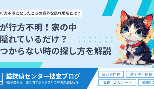 猫が行方不明！家の中で隠れているだけ？見つからない時の探し方を解説
