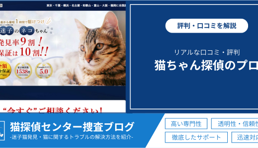 「猫ちゃん探偵のプロ」の口コミ・レビューは？実際の評判や悪徳業者の見分け方を徹底解説