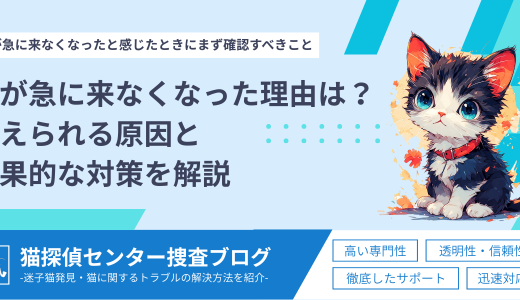 猫が急に来なくなった理由とは？考えられる原因と効果的な対策を解説