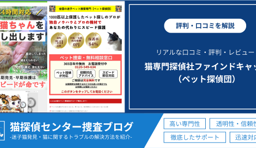 「猫専門探偵社ファインドキャット」の口コミは？評判やレビューを徹底解説！実際の評判を紹介