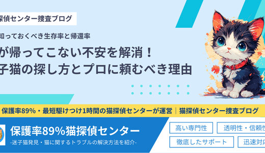 猫が帰ってこない不安を解消！迷子猫の探し方とプロに頼むべき理由