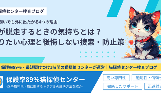 猫が脱走するときの気持ちとは？帰りたい心理と後悔しない捜索・防止策