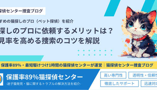 猫探しのプロに依頼するメリットは？発見率を高める捜索のコツを解説