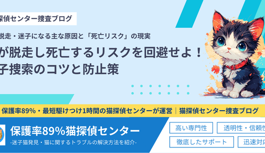 猫が脱走し死亡するリスクを回避せよ！迷子捜索のコツと防止策