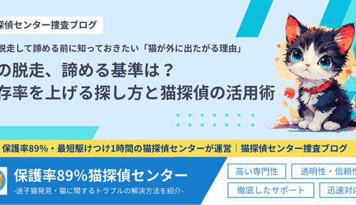 猫の脱走、諦める基準は？生存率を上げる探し方と猫探偵の活用術