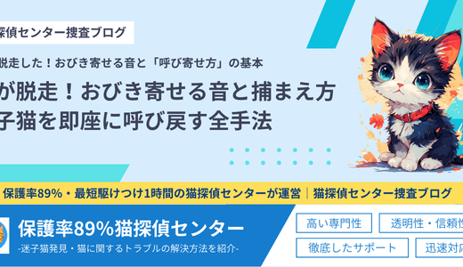猫が脱走！おびき寄せる音と捕まえ方｜迷子猫を即座に呼び戻す全手法