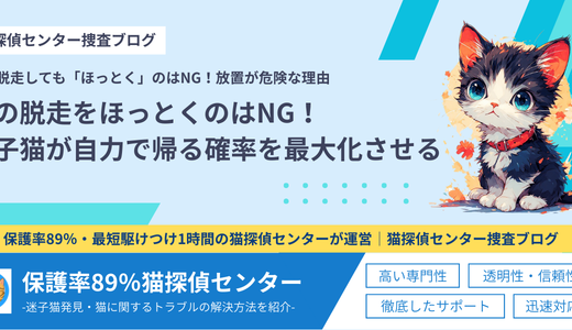 猫の脱走をほっとくのはNG！迷子猫が自力で帰る確率を最大化させる方法