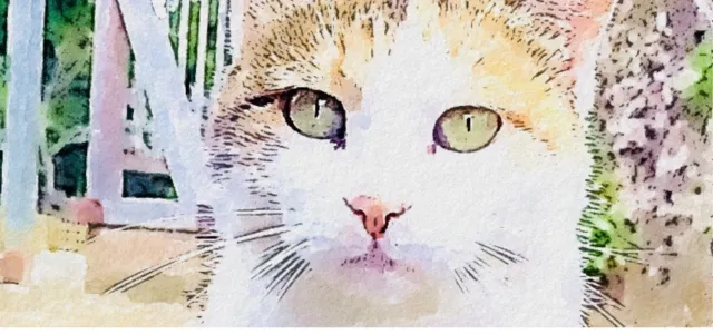 ミケネコ探偵社