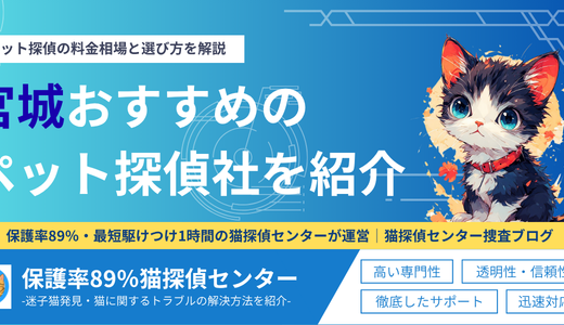 宮城県の猫探偵・ペット探偵おすすめ！料金相場と選び方を解説