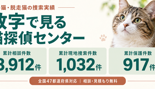 数字で見る猫探偵センター