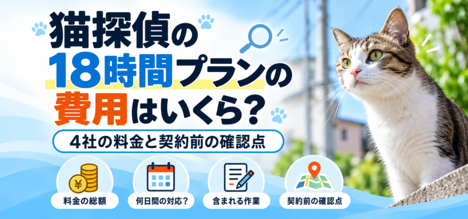 猫探偵の料金ガイドと確認点